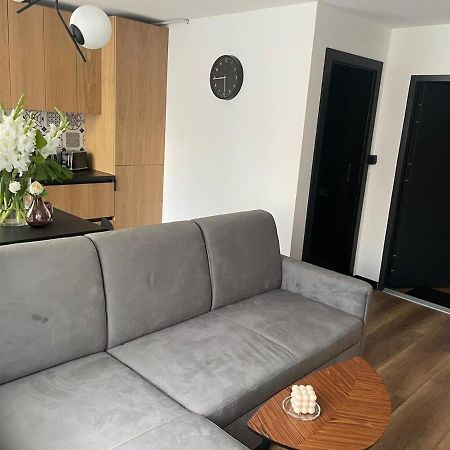 Apartamenty Nadrzeczna 14 卡尔帕奇 外观 照片