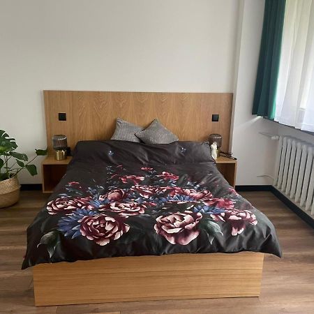 Apartamenty Nadrzeczna 14 卡尔帕奇 外观 照片