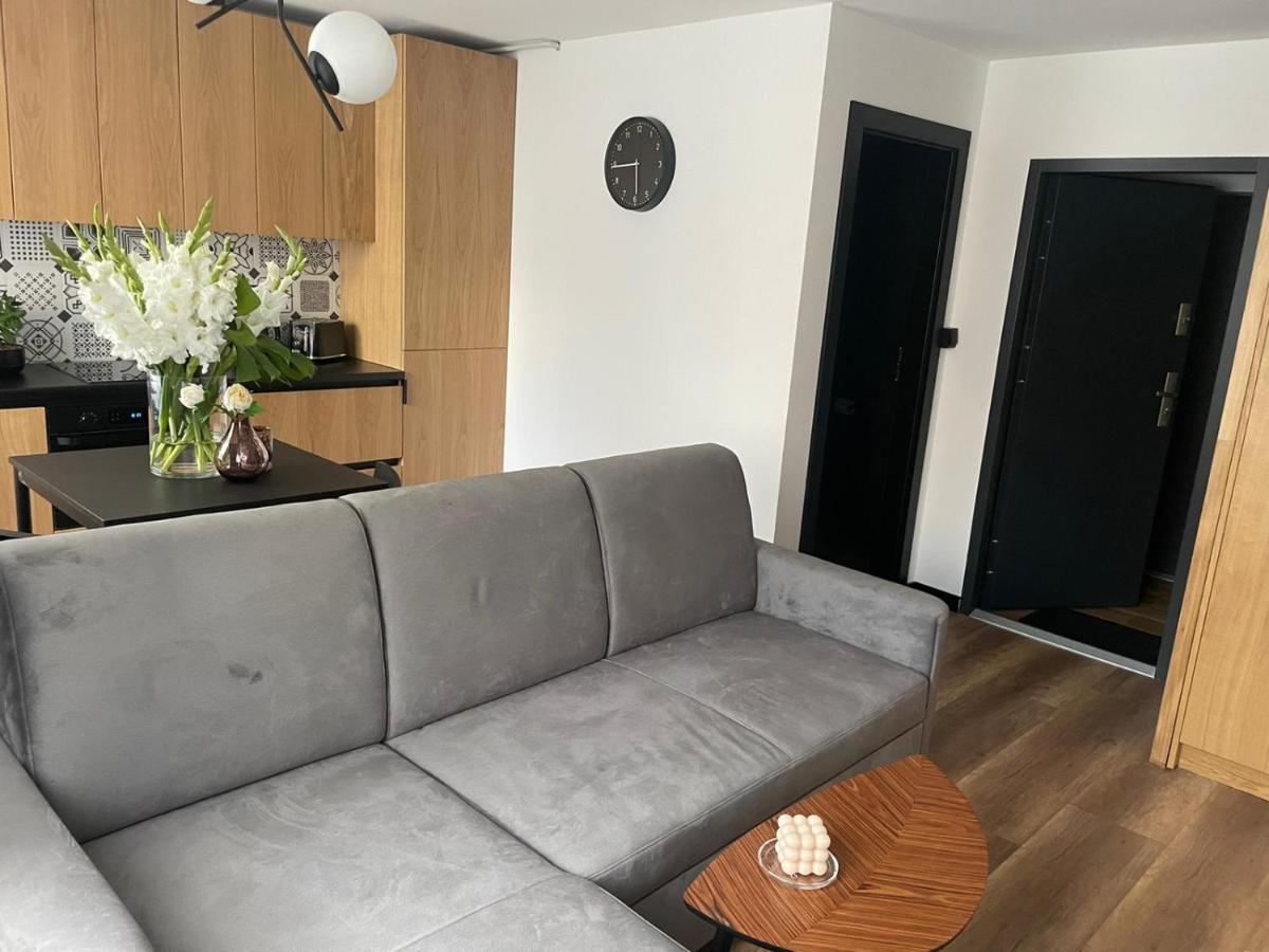 Apartamenty Nadrzeczna 14 卡尔帕奇 外观 照片
