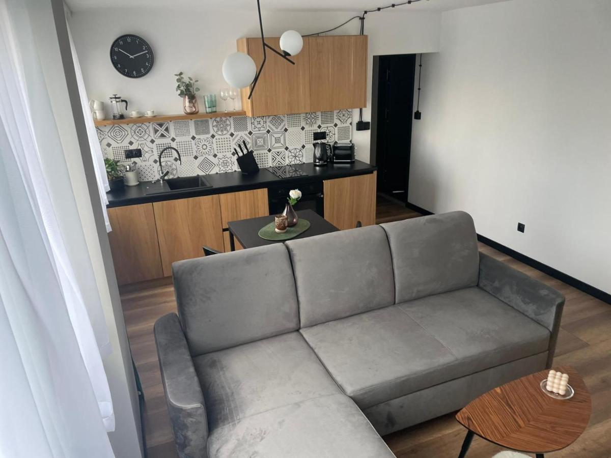 Apartamenty Nadrzeczna 14 卡尔帕奇 外观 照片