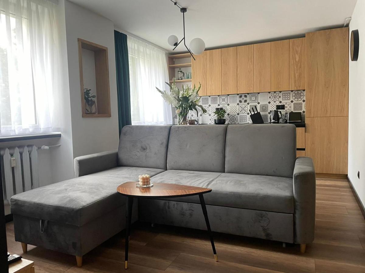 Apartamenty Nadrzeczna 14 卡尔帕奇 外观 照片
