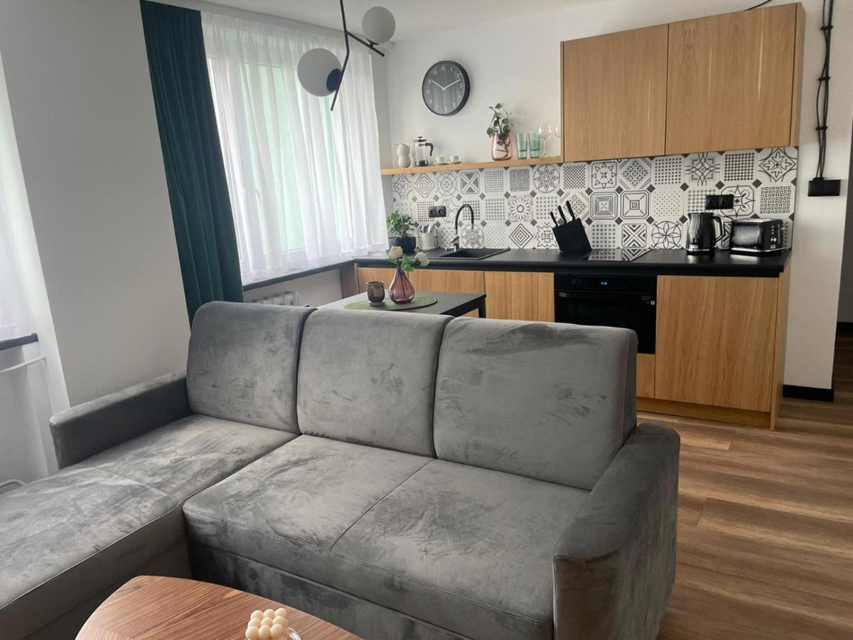 Apartamenty Nadrzeczna 14 卡尔帕奇 外观 照片