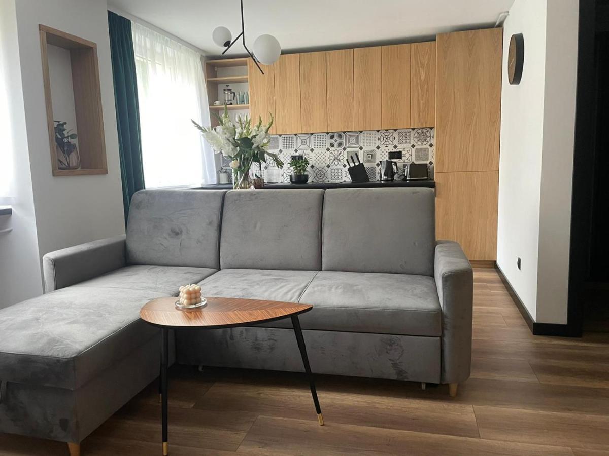 Apartamenty Nadrzeczna 14 卡尔帕奇 外观 照片