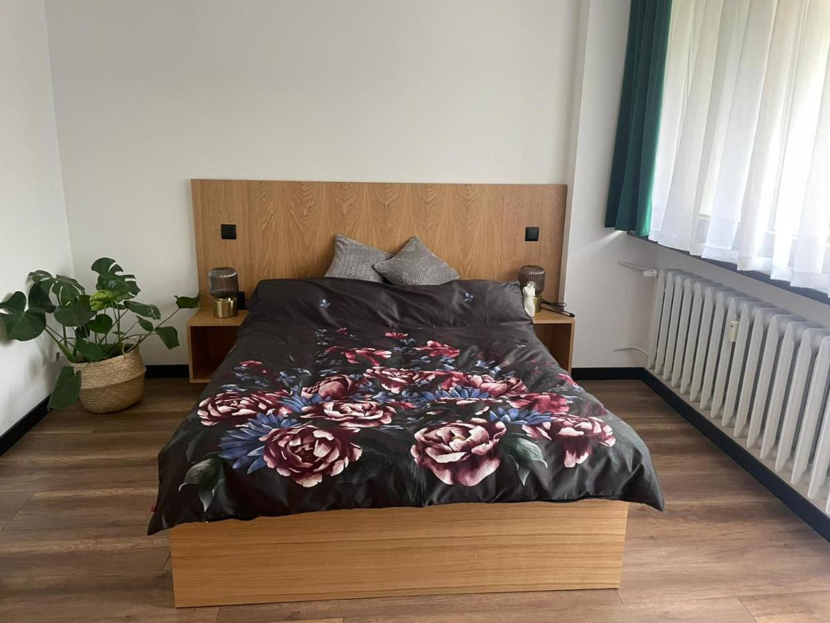 Apartamenty Nadrzeczna 14 卡尔帕奇 外观 照片